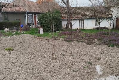 Casă cu Teren 800 Mp în Ginta