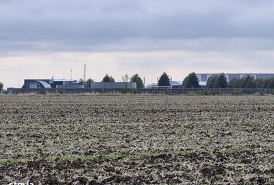 Spațiu comercial, în Balotești - 5