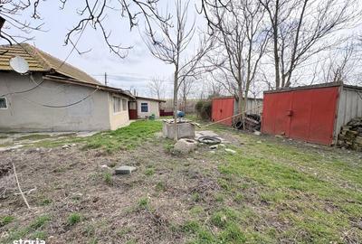 Casă cu 4 camere cu Teren 3747 Mp în Pantelimon - 2