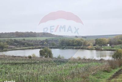 Teren de 129700 mp, în Iepurești - 13