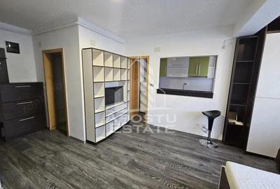 Apartament 1 camera, Centrala proprie , Dumbravita - 3