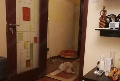 Apartament Sarari - 5