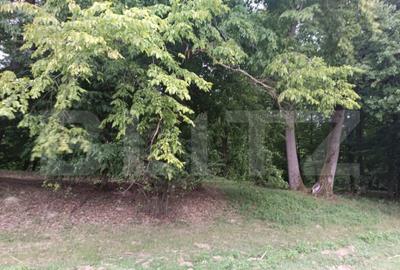 Teren pentru cabana /pensiune locatia perfecta pentru relaxa - 4