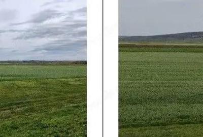 Teren de 20000 mp, în Andrieșeni - 9