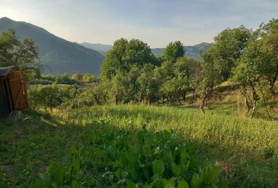 Casa batraneaca de vanzare - 1