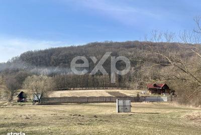 Spațiu comercial, în Central - 2