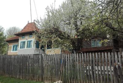 VAND CASA BATRANEASCA, 3,1 HA IN JURUL CASEI, COM.CETATENI - 3