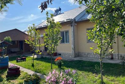 Vand Casa+Afacere Li?a - 6