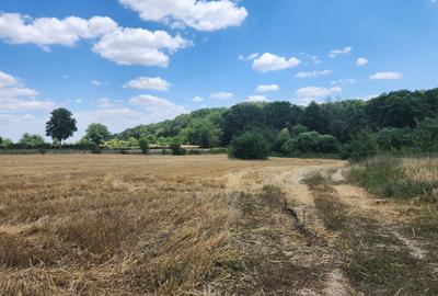 TEREN 1630MP CONSTRUCTII LANGA PADURE, UTILITATI, BALTA PESCUIT, SAT LIPIA,ILFOV - 6