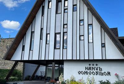 Pensiune agroturistica de vanzare in localitatea Horodnic de Sus jud.Suceava - 4