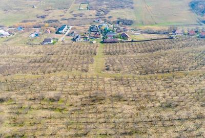 Vanzare Teren Intravilan 800 mp Visani Sf. Ilie PUZ Casa D+P+E - 2