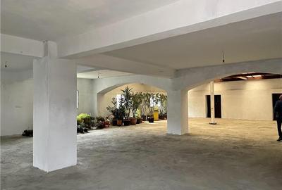 Spațiu comercial, de 270 mp, în Dâmbovița - 1