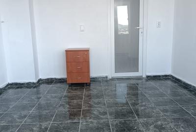 Apartament cu 2 camere decomandat în Dosu Bricii - 5