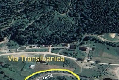 Teren de 6888 mp, în Putna - 3