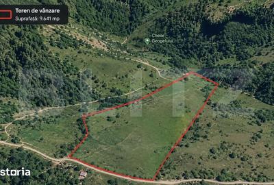 Teren de 9641 mp, în Ponor