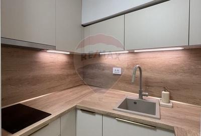 Apartament cu 3 camere decomandat, mobilat în P-ța Alba Iulia - 14