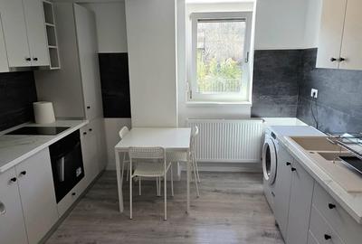 Apartament cu 2 camere semidecomandat în Frumoasa - 3