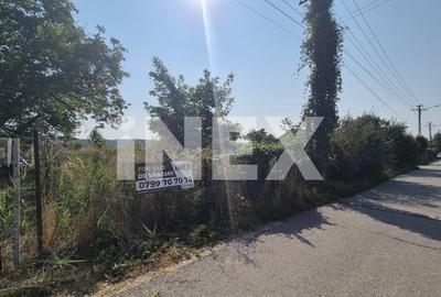 Teren intravilan Bascov - Lunca | 3151 mp - 2