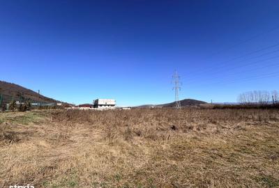 Spațiu comercial, în Crainimăt - 8