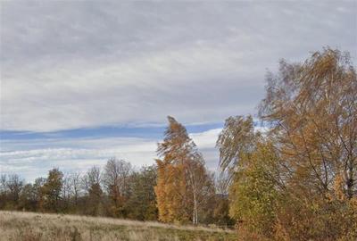 11.600mp teren, partial extravilan,Valea Mare Pravat, 2 km de Campulung Muscel - 2