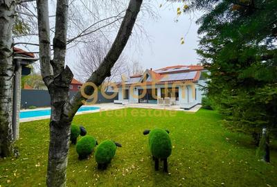 UNICA/ABSOLUT SUPERBA/ VILA INDIVIDUALA/IANCU NICOLAE/CURTE GENEROASA - 96