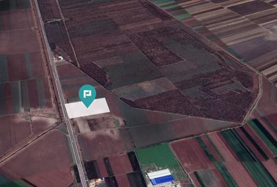 Teren Industrial în Glina, Jud. Ilfov - 3