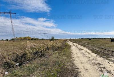 Teren 30 hectare, 500 m deschidere la A1, langa Bolentin Val - 3