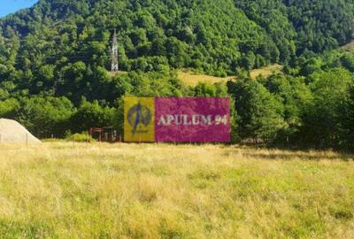 Teren Construcții intravilan de 744 mp, în Periferie - 21