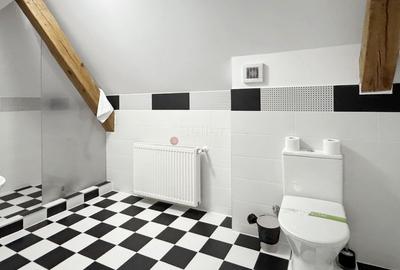 Apartament cu 5 camere decomandat, mobilat în Drumul Poienii - 10
