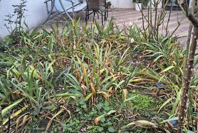 ULTRCENTRAL CASA CU 3 CAMERE ST 130 MP PRET 130000 EURO ULTRCENTRAL CASA CU 3 CAMERE ST 130 MP PRET 130000 EURO - 7