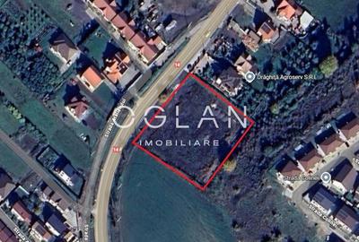 Teren Imprejmuit, la sosea (DN14)- SURA MARE - 1