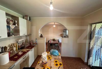 Casă cu 3 camere cu Teren 5700 Mp în Viile Satu Mare - 7