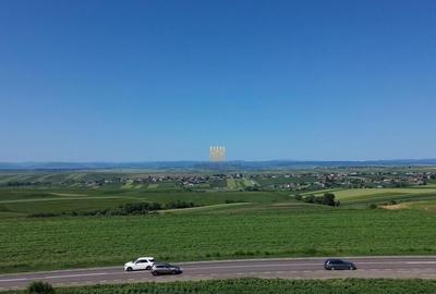 Teren Intravilan 36977 mp E 85 Intrare in Municip... - 12