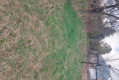 Teren de 690 mp, în Breaza de Sus - 2