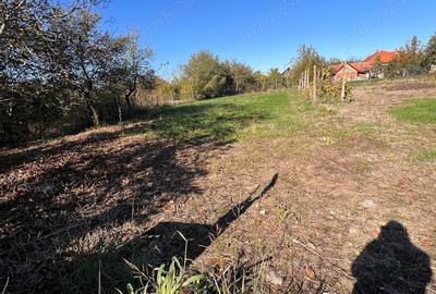 Casa cu teren generos de 1.400 mp de vanzare in Ineu, zona Colonie Ideala pentru investi?ie! - 4