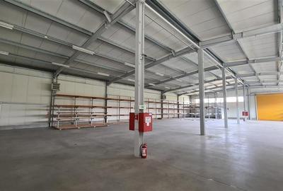 Spațiu industrial, de 1,038 mp, în Ronaț - 2