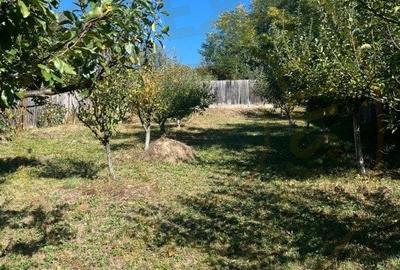 Teren 1128 intravilan constructii Darmanesti Arges - 1