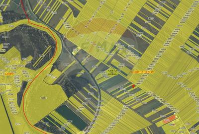 Teren Construcții intravilan de 7000 mp, în Stoenești (Florești-Stoenești) - 4