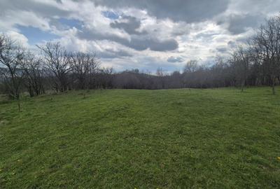 Spațiu comercial, în Făget - 7