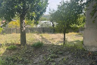 Casă cu 2 camere în Zărnești - 8
