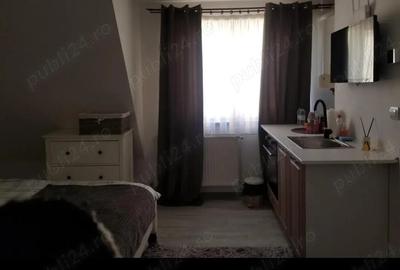 Garsoniera de inchiriat Sibiu zona centrala - 3