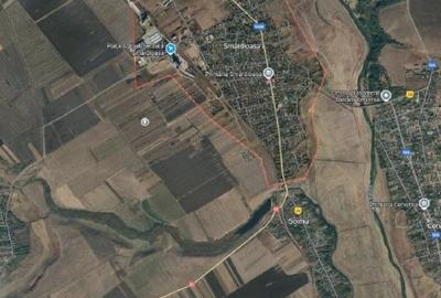 Teren extravilan Smardioasa, cota 1/6, ID: R2688427 - 5