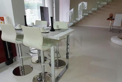 Vila 5 camere lux de inchiriat Iancu Nicolae Ilfov - 3