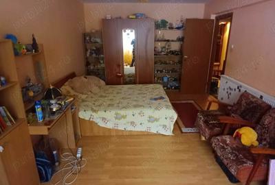 Apartament cu 2 camere decomandat în Satu Nou - 8