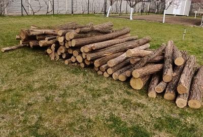 Apartament cu 3 camere în Dumbrăvița - 1