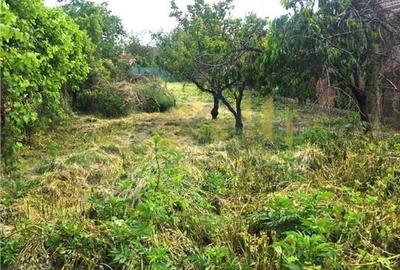 Teren de 1000 mp, în Săpoca - 5