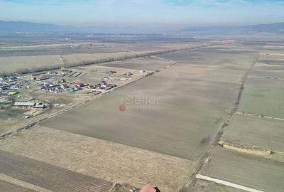 Teren Extravilan, P.U.Z. inceput - 9