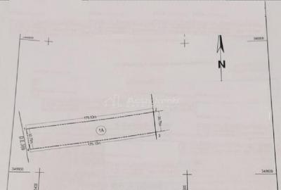 Teren de 5444 mp, în Săftica - 2