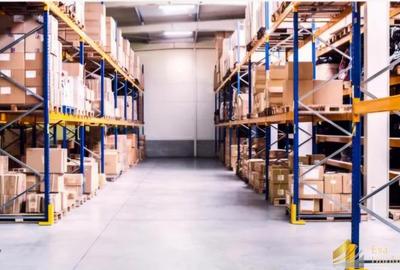 Hale de inchiriat: 280-450-550mp- Bragadiru - 4