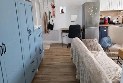 Cazare Blue Zone Apartment, Suceava, 165 ron - 8